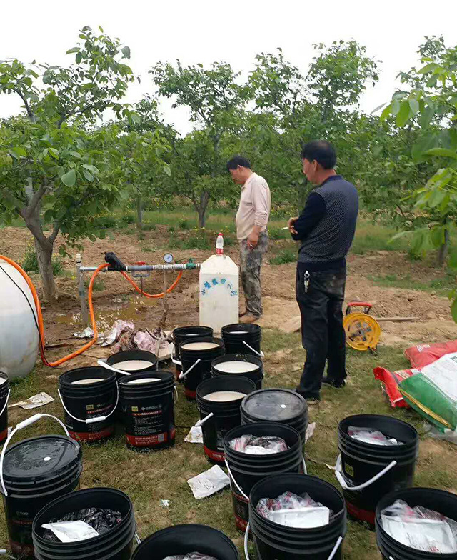 久养地种植户反馈