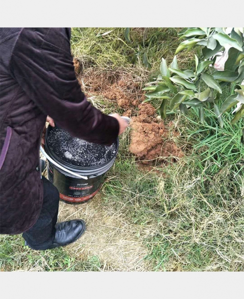 微生物菌剂种植反馈