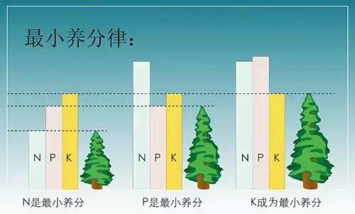 菌肥 生物菌肥 微生物菌肥