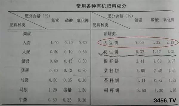 菌肥 生物菌肥 微生物菌肥