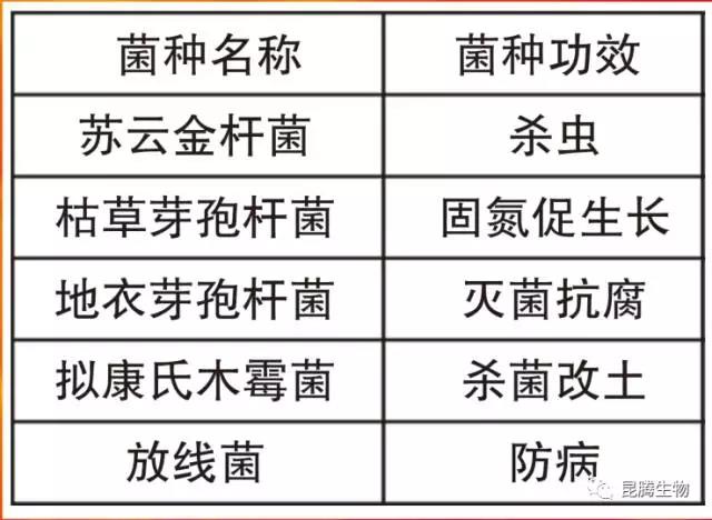 水溶肥 冲施肥 大中微量元素水溶肥