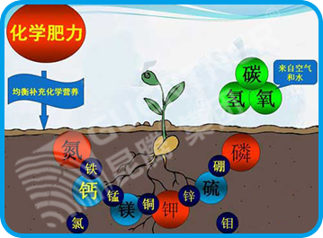 水溶肥 冲施肥 大中微量元素水溶肥