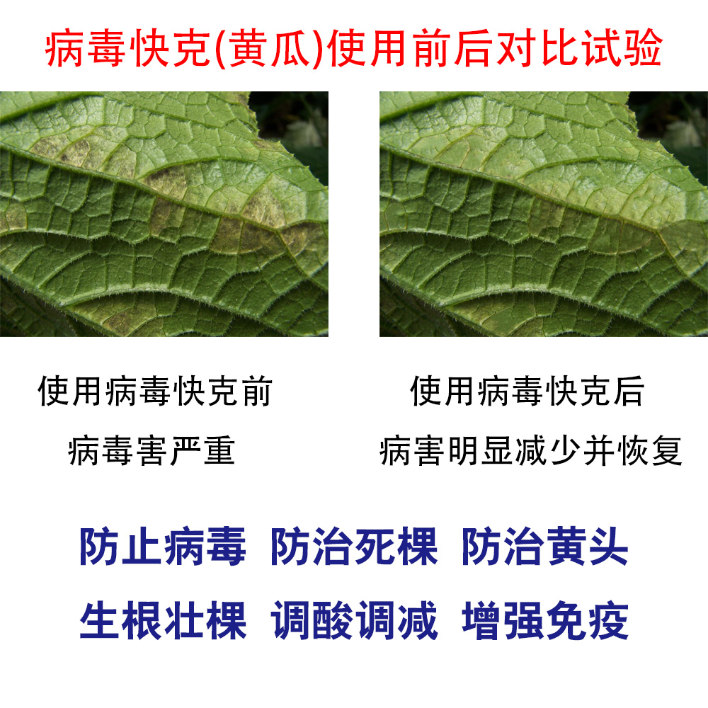 微生物有机菌肥 复合微生物菌剂 复合微生物菌肥