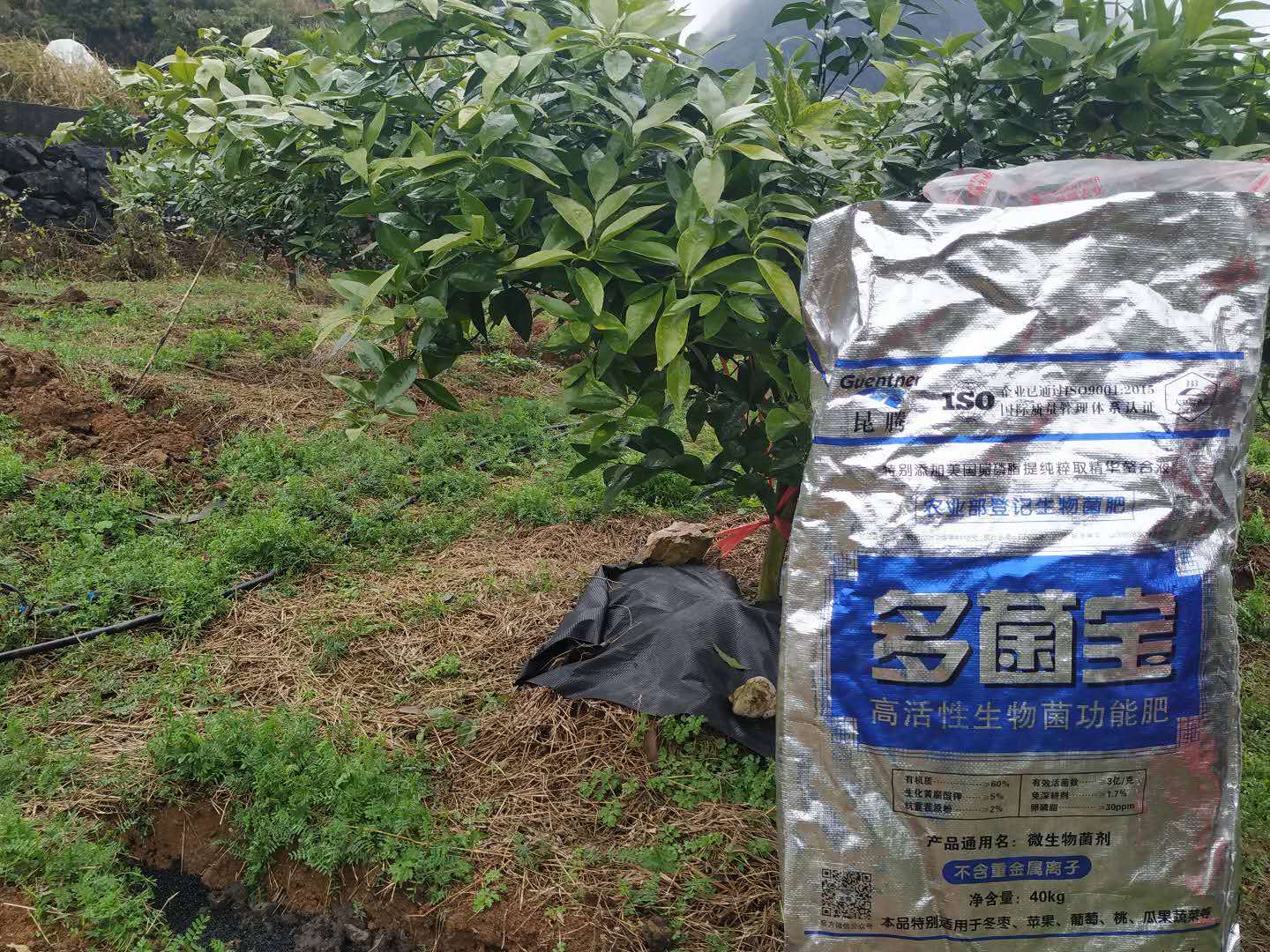 微生物有机菌肥 复合微生物菌肥 复合微生物菌剂