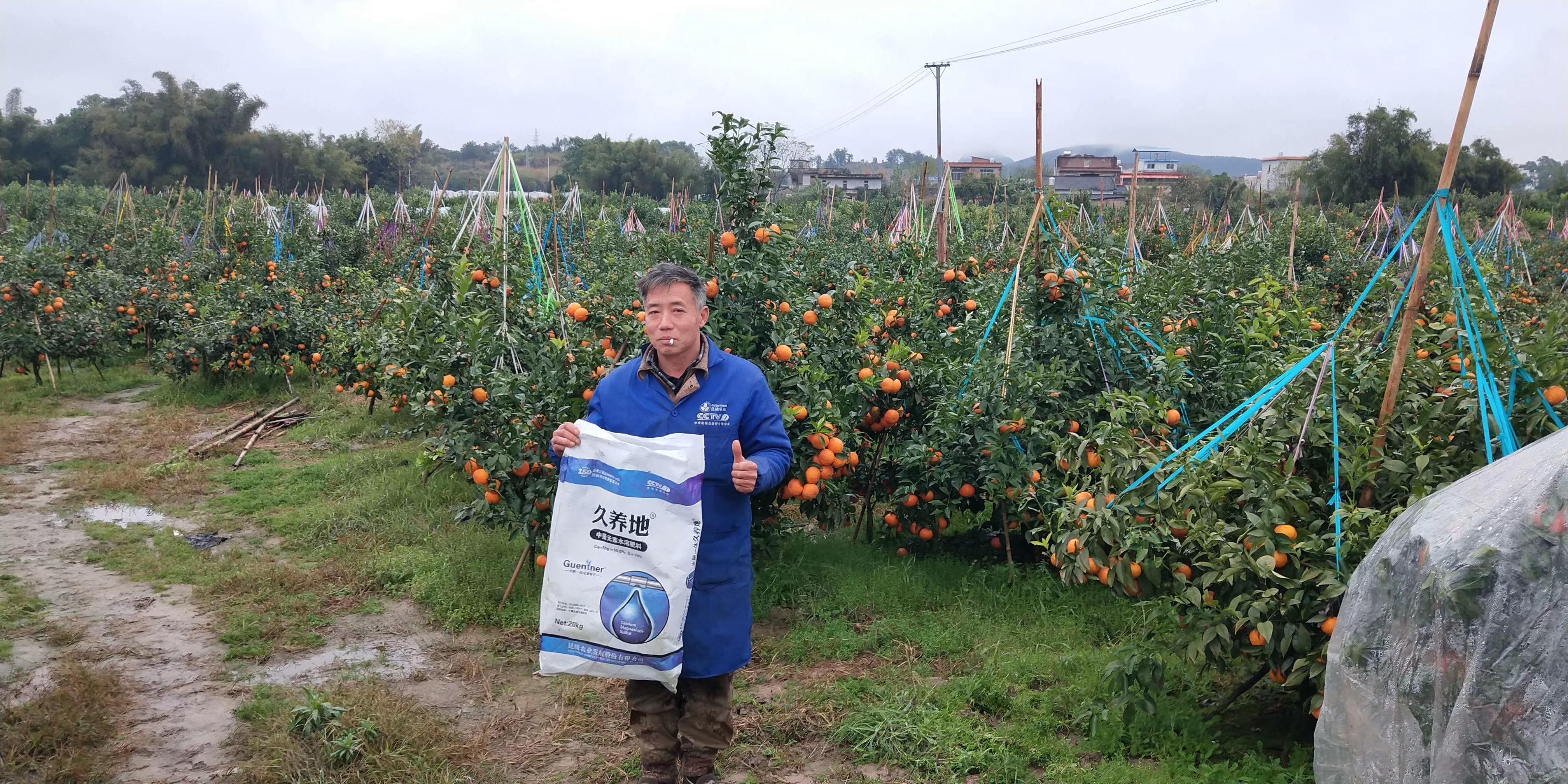 水溶肥 冲施肥 大量元素水溶肥