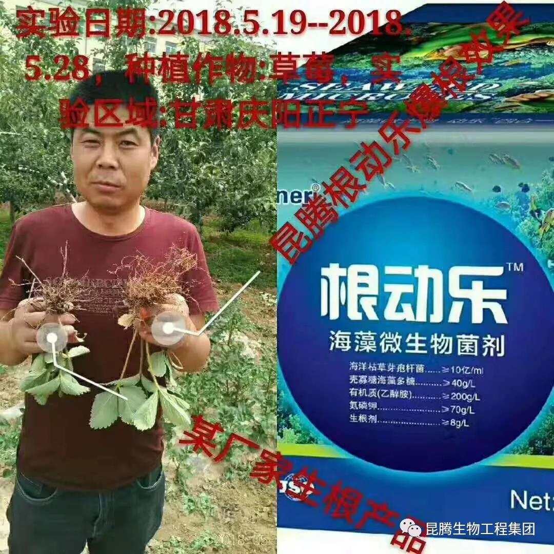 复合微生物菌剂使用效果和作用