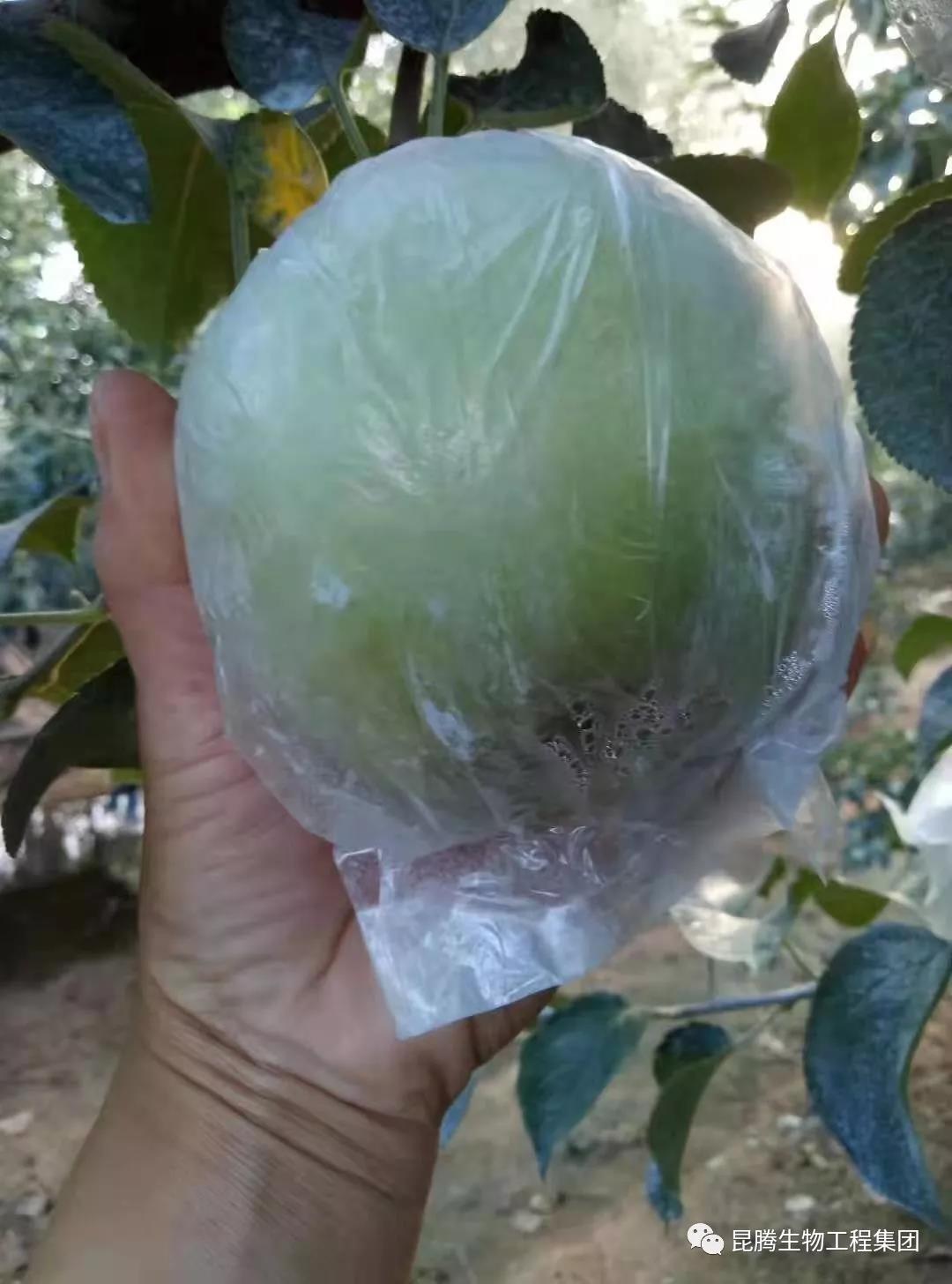 复合微生物菌剂水溶肥厂家直销