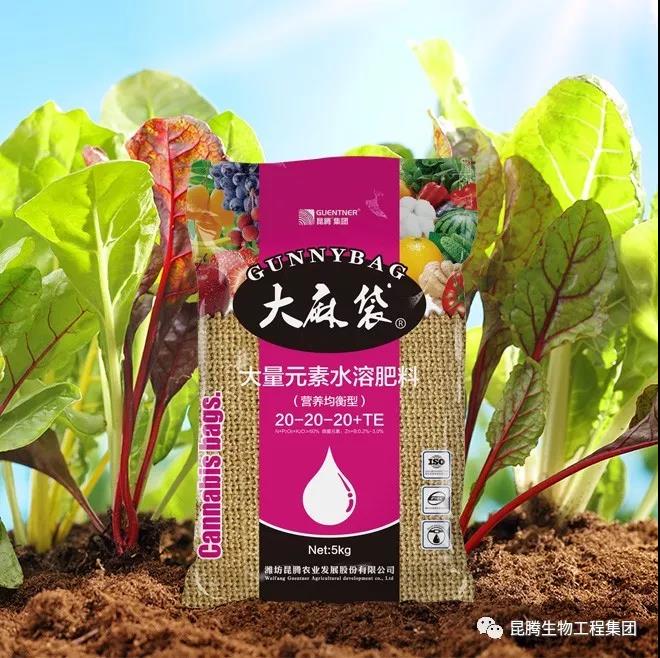 复合微生物菌剂厂家直销