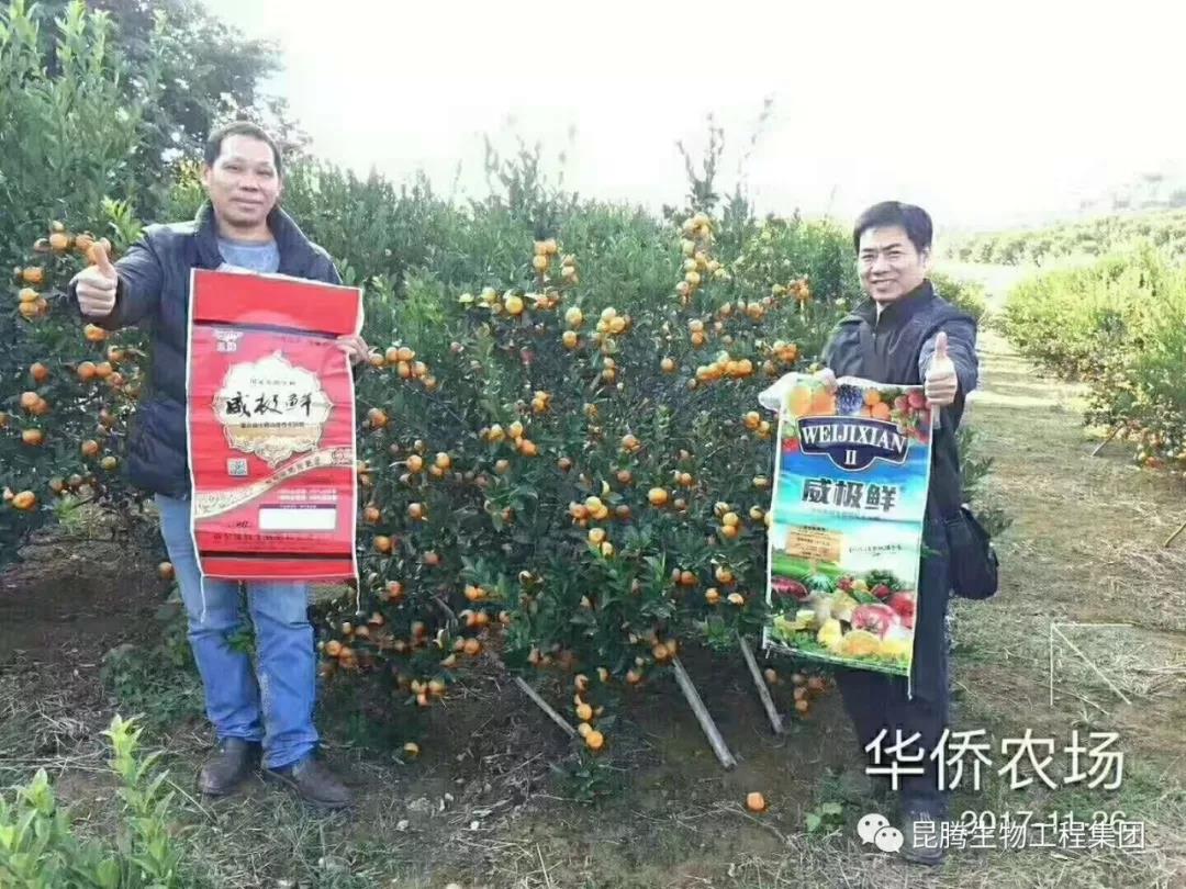 复合微生物菌剂复合微生物菌肥复合微生物有机菌肥厂家直销