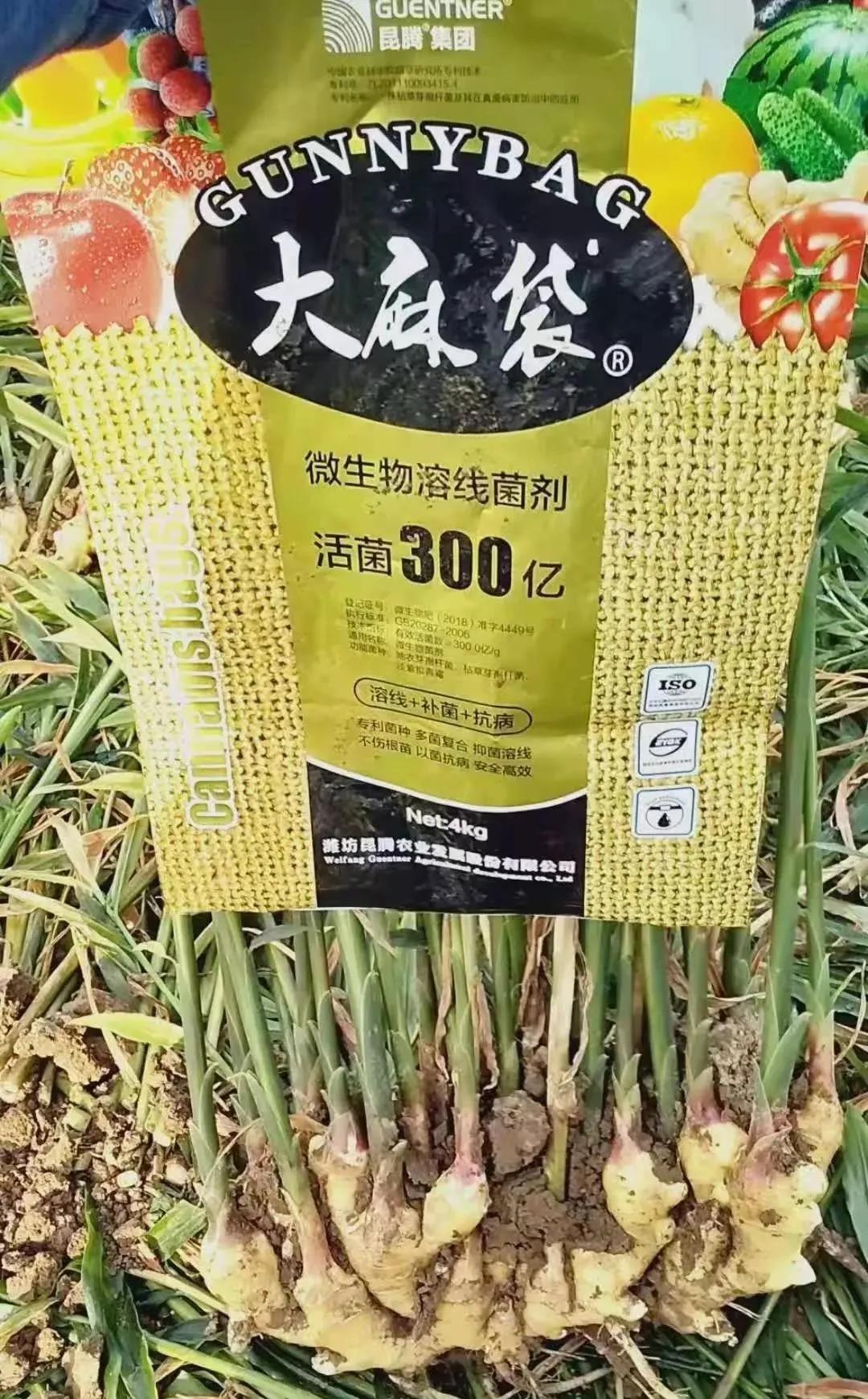 复合微生物菌肥厂家直销